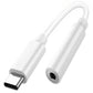 Apple USB-C to 3.5mm Headphone Audio Jack Adapter – Best Price in Pakistan | dynsol.pk - dynsol