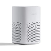 Xiaomi Xiaoai Speaker Play L05B Bluetooth Speaker