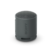 Sony SRS-XB100 Wireless Bluetooth Portable