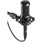 Audio-Technica AT2035 Large-diaphragm Condenser Microphone - dynsol