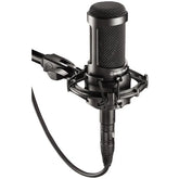 Audio-Technica AT2035 Large-diaphragm Condenser Microphone