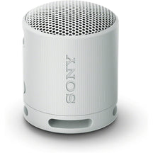 Sony SRS-XB100 Wireless Bluetooth Portable